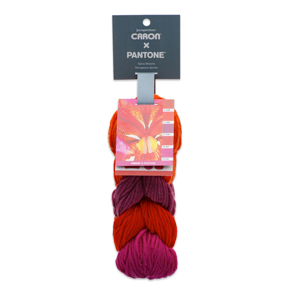 Caron X Pantone (5x20g) balls in colourway Spicy Blooms (reds and purples)