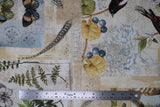Flat swatch forest themed fabric in Big Forest Notes (vintage look collage on white with plants, bugs, birds)