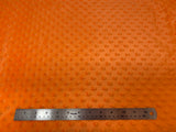 Bubbles Velours (Softee Dot) - 60" - 100% Polyester Fleece