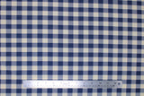 Flat swatch blue and white medium sized gingham print fabric
