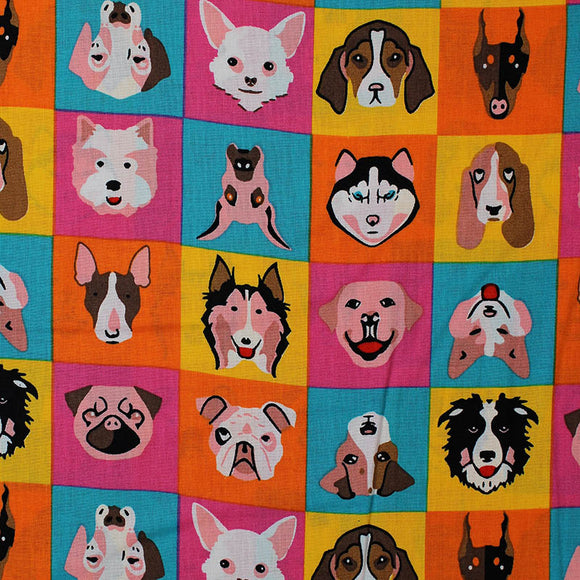 Square swatch Dog Check fabric (yellow, orange, blue and pink squares allover with illustrative full colour dog heads in various breeds)