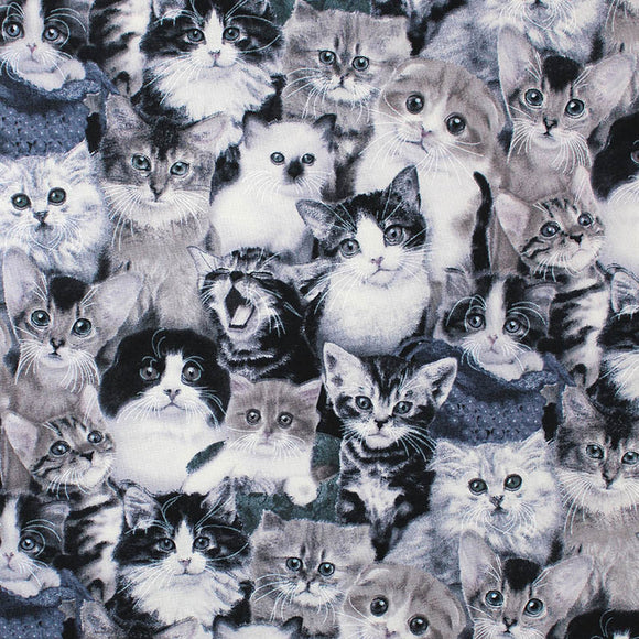 Square swatch Cat Breeds fabric (busy collaged fabric with greyscale kittens allover in various breeds)