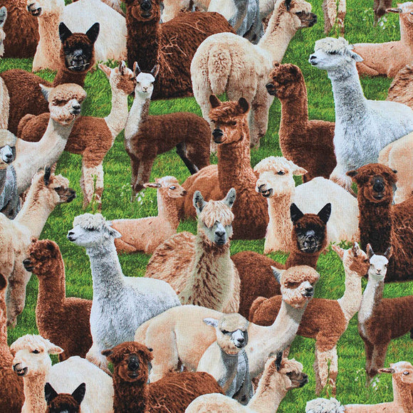 Square swatch Farm Animals fabric (realistic style collaged white and brown llamas with green grass)