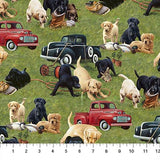 Square swatch Playing Puppies fabric (green grass texture look fabric illustrative with tossed playing puppies lab/retriever breed in gold, black and brown with red and black cars)