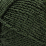 Red Heart soft yarn swatch in shade dark leaf (pale dark green)