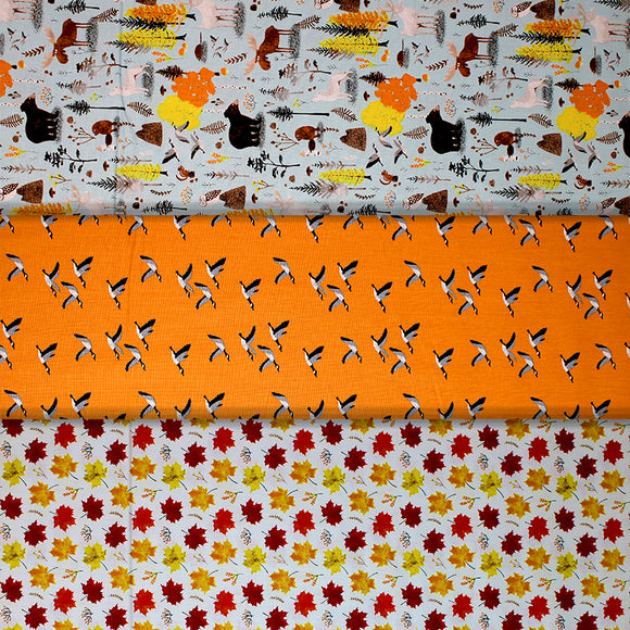 Group swatch assorted Canadian Autumn themed fabrics in various styles/colours