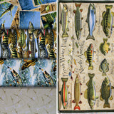 Group swatch Keep it Reel (fishing) themed fabrics in various styles/colours