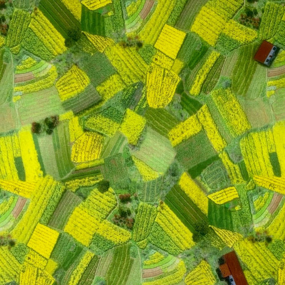 Square swatch Imaginings - Nature fabric (illustrative top view of barn rural areas with tossed structures and lots of green patches)