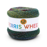 A cake of Lion Brand Ferris Wheel in colourway Imaginary Garden (twisted strands of forest green, spring green, maroon, and denim blue)