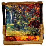 Materials included in kit (quilt base, outdoor scene)
