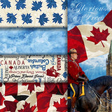 Group swatch Oh Canada themed printed fabrics in various colours/styles