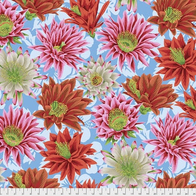 Cactus Flower - 45