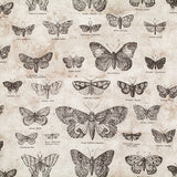 Square swatch butterflies fabric (cream fabric with labelled illustrated butterflies allover)