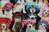 Adorable Pets in Hats - 44/45" - 100% Cotton