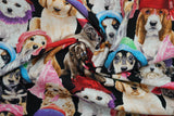 Adorable Pets in Hats - 44/45" - 100% Cotton