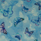 Butterfly Bliss - 44/45" - 100% Cotton