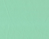 Oasis (pale green) swatch of Daytona (lightly wrinkled) vinyl