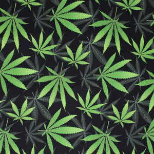 Square swatch of marijuana leaf printed fabric in black (black fabric with tiled grey and green pot leaves tossed)