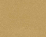 Square swatch textured vinyl in shade chamois (beige)