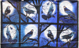 Full panel swatch - Spooky Crows Panel - 24" x 45" (8 black framed panes with blue night skies, white full moons, tree branches and crows)
